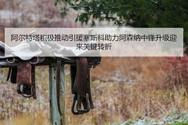 阿尔特塔积极推动引援塞斯科助力阿森纳中锋升级迎来关键转折
