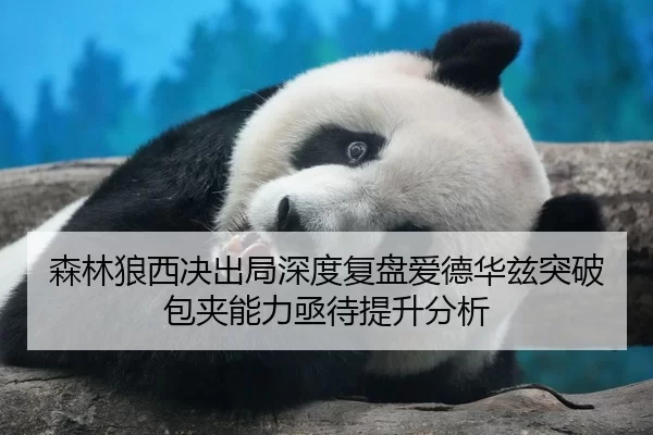 森林狼西决出局深度复盘爱德华兹突破包夹能力亟待提升分析 | huatihui