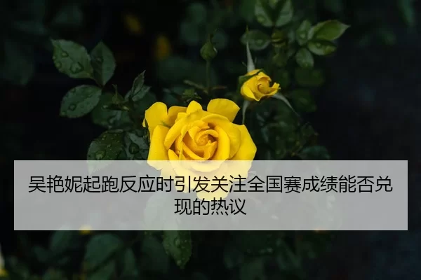 吴艳妮起跑反应时引发关注全国赛成绩能否兑现的热议