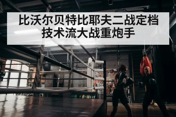 boxer training