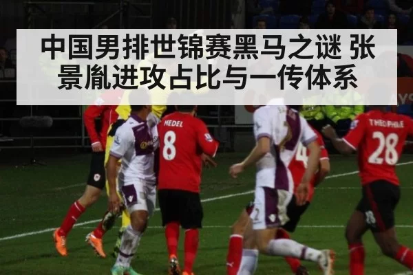 中国男排世锦赛黑马之谜 张景胤进攻占比与一传体系