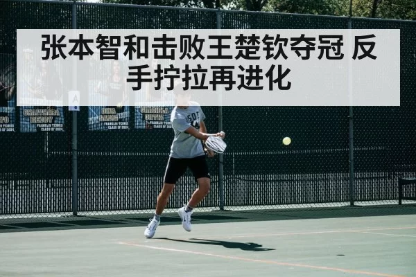 张本智和击败王楚钦夺冠 反手拧拉再进化