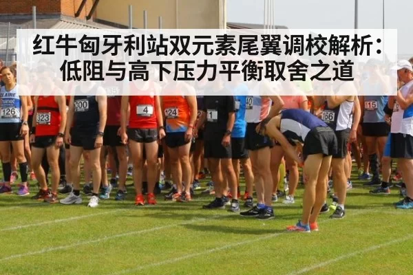 红牛匈牙利站双元素尾翼调校解析：低阻与高下压力平衡取舍之道